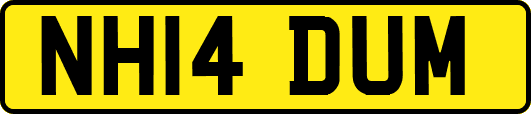 NH14DUM