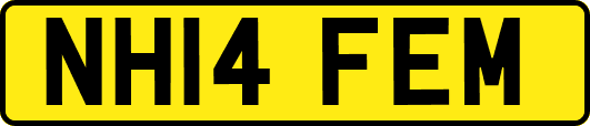 NH14FEM