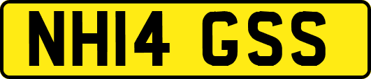 NH14GSS
