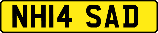 NH14SAD