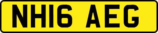 NH16AEG