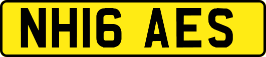 NH16AES