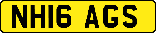NH16AGS