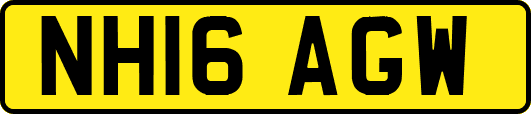 NH16AGW