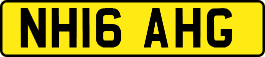NH16AHG