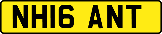 NH16ANT