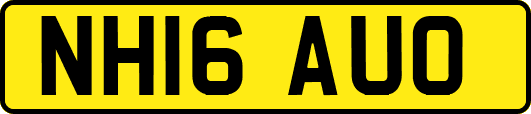 NH16AUO