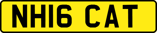 NH16CAT