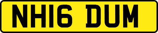NH16DUM