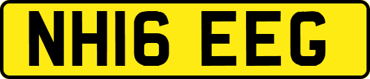NH16EEG