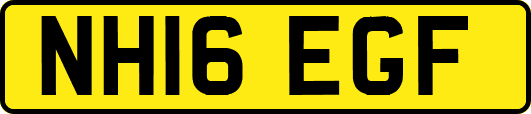 NH16EGF