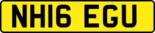 NH16EGU
