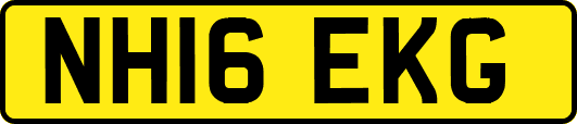NH16EKG