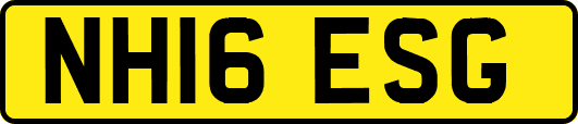 NH16ESG