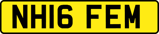 NH16FEM
