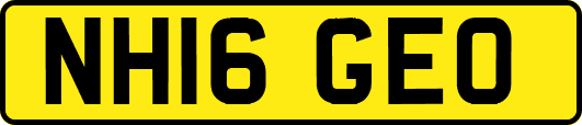 NH16GEO