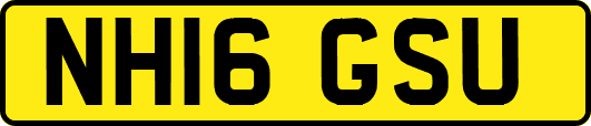 NH16GSU