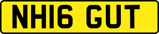 NH16GUT