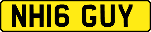 NH16GUY