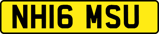 NH16MSU