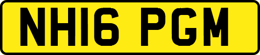 NH16PGM