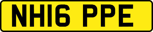NH16PPE