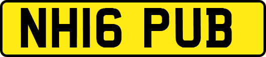 NH16PUB