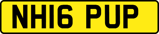 NH16PUP