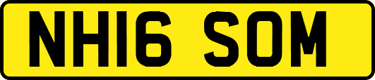 NH16SOM