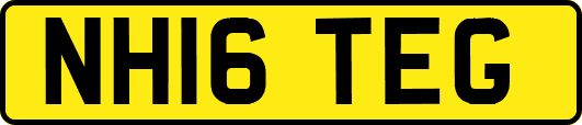 NH16TEG