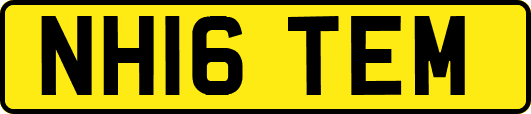 NH16TEM