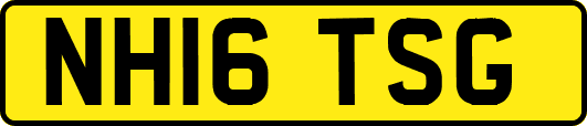 NH16TSG