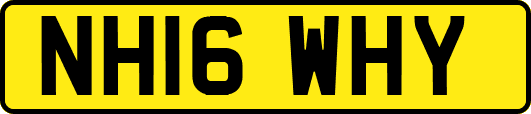 NH16WHY