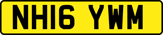 NH16YWM