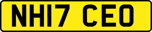 NH17CEO
