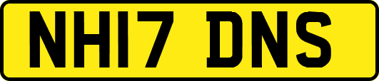 NH17DNS