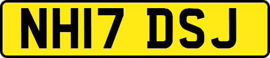 NH17DSJ