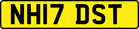 NH17DST