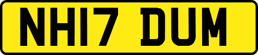 NH17DUM