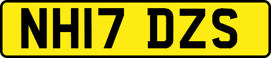 NH17DZS