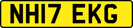 NH17EKG