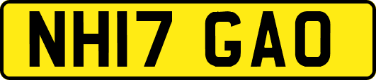 NH17GAO