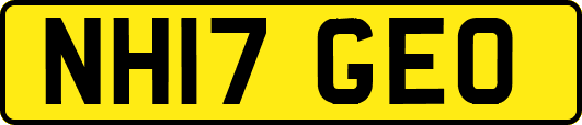 NH17GEO