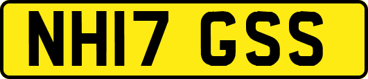 NH17GSS