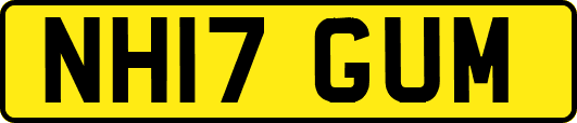 NH17GUM