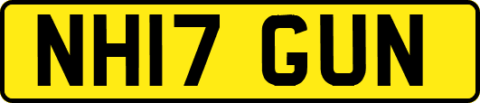 NH17GUN