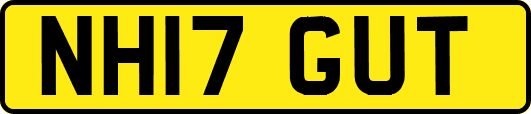 NH17GUT