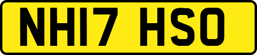 NH17HSO