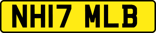 NH17MLB