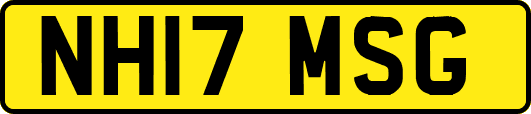 NH17MSG